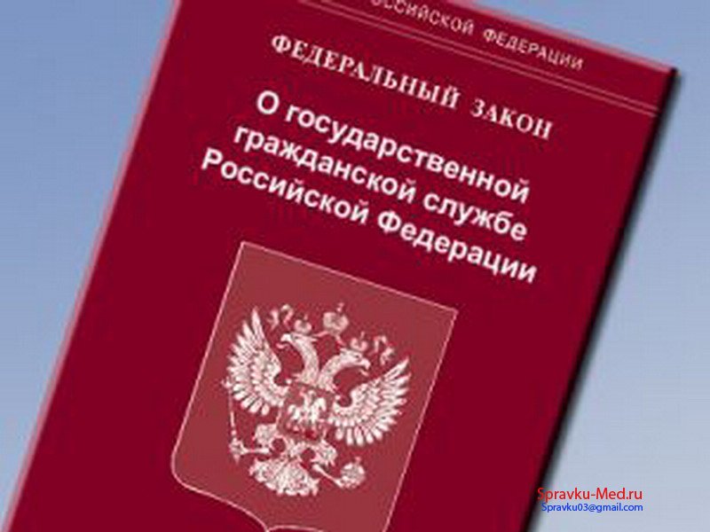 Справка 001 ГСУ для Госслужбы Справка 001 ГСУ для Госслужбы