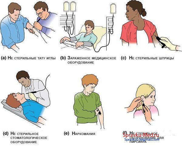 Справка об гепатите Справка об гепатите